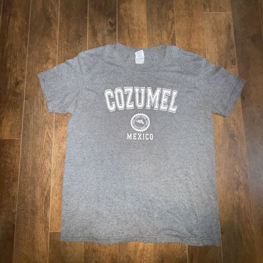 Cozumel Mexico Island Men's M Gray Souvenir Graphic Print Shirt Dolphin Logo